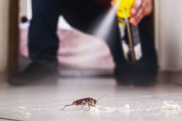 Pest Control Cost in Yamhill, OR